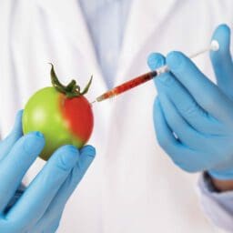 Regard critique sur l'industrie alimentaire BIO