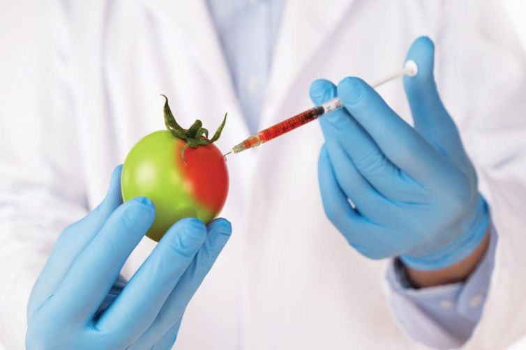 Regard critique sur l'industrie alimentaire BIO